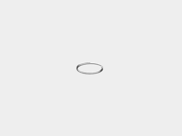 Key Ring